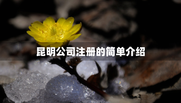 昆明公司注冊的簡單介紹