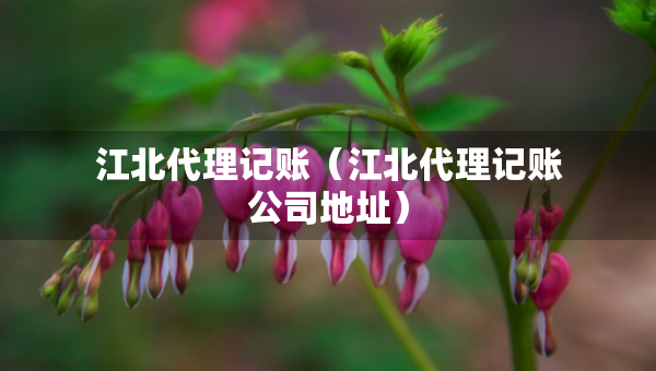 江北代理記賬（江北代理記賬公司地址）