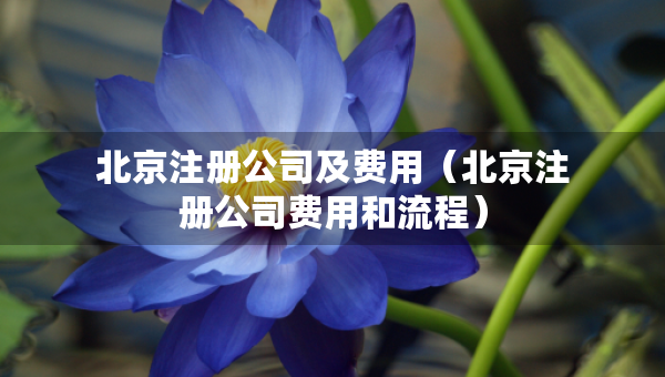 北京注冊(cè)公司及費(fèi)用（北京注冊(cè)公司費(fèi)用和流程）