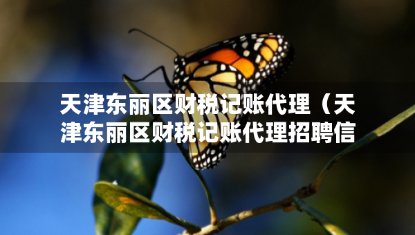 天津東麗區(qū)財(cái)稅記賬代理（天津東麗區(qū)財(cái)稅記賬代理招聘信息）