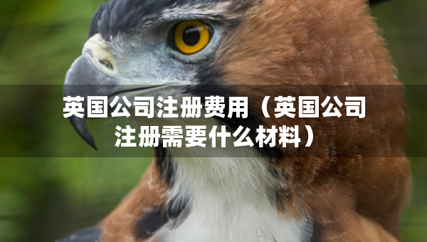 英國公司注冊費用（英國公司注冊需要什么材料）