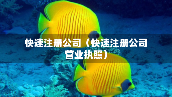 快速注冊公司（快速注冊公司營業(yè)執(zhí)照）