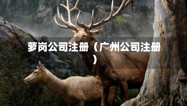 蘿崗公司注冊（廣州公司注冊）