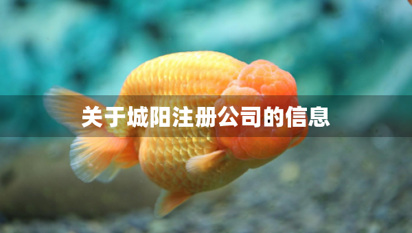 關(guān)于城陽注冊(cè)公司的信息