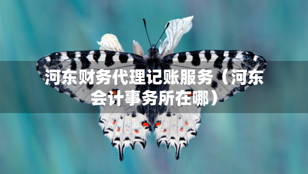 河?xùn)|財(cái)務(wù)代理記賬服務(wù)（河?xùn)|會(huì)計(jì)事務(wù)所在哪）