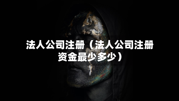 法人公司注冊（法人公司注冊資金最少多少）