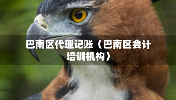 巴南區(qū)代理記賬（巴南區(qū)會計培訓機構）