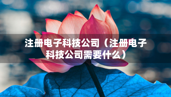 注冊電子科技公司（注冊電子科技公司需要什么）
