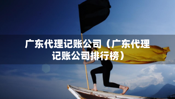 廣東代理記賬公司（廣東代理記賬公司排行榜）