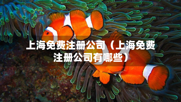 上海免費注冊公司（上海免費注冊公司有哪些）