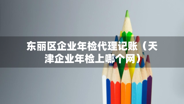 東麗區(qū)企業(yè)年檢代理記賬（天津企業(yè)年檢上哪個網(wǎng)）