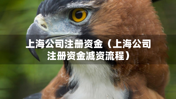 上海公司注冊資金（上海公司注冊資金減資流程）