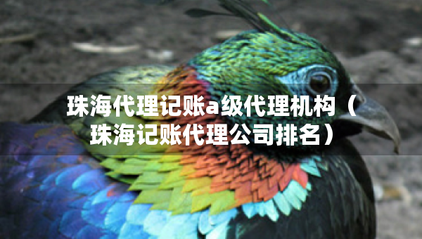 珠海代理記賬a級代理機(jī)構(gòu)（珠海記賬代理公司排名）