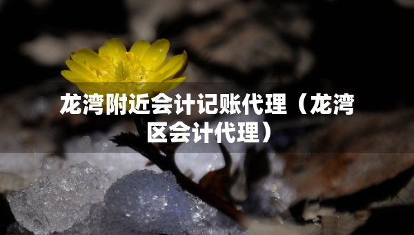 龍灣附近會(huì)計(jì)記賬代理（龍灣區(qū)會(huì)計(jì)代理）