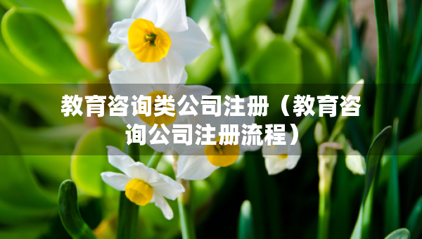 教育咨詢類公司注冊（教育咨詢公司注冊流程）