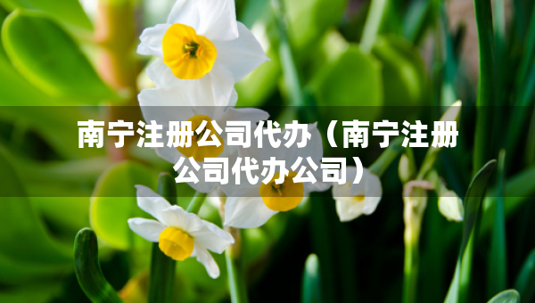 南寧注冊公司代辦（南寧注冊公司代辦公司）