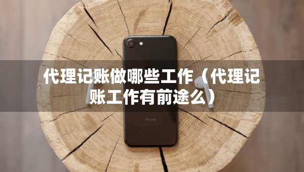 代理記賬做哪些工作（代理記賬工作有前途么）