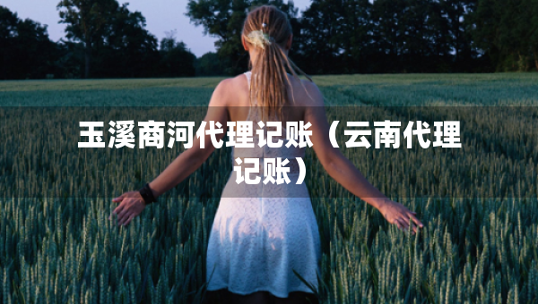 玉溪商河代理記賬（云南代理記賬）