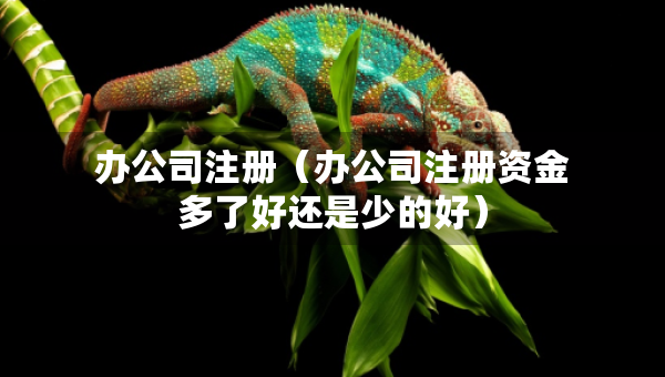 辦公司注冊（辦公司注冊資金多了好還是少的好）
