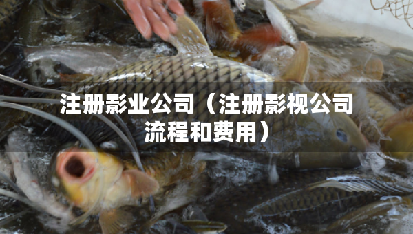 注冊影業(yè)公司（注冊影視公司流程和費用）