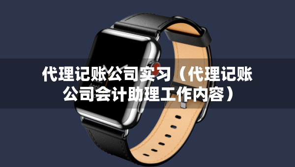 代理記賬公司實(shí)習(xí)（代理記賬公司會(huì)計(jì)助理工作內(nèi)容）