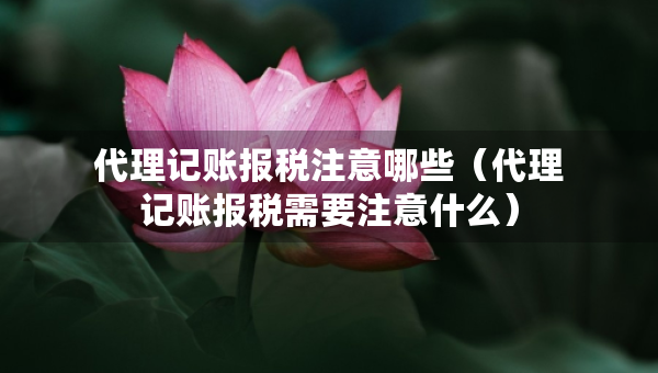 代理記賬報(bào)稅注意哪些（代理記賬報(bào)稅需要注意什么）