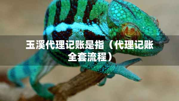 玉溪代理記賬是指（代理記賬全套流程）