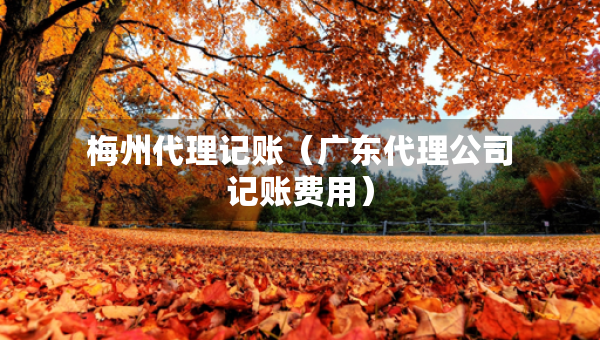 梅州代理記賬（廣東代理公司記賬費(fèi)用）