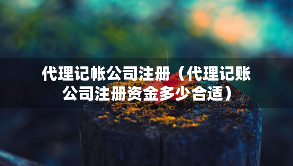 代理記帳公司注冊(cè)（代理記賬公司注冊(cè)資金多少合適）