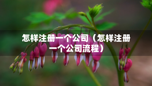 怎樣注冊一個(gè)公司（怎樣注冊一個(gè)公司流程）
