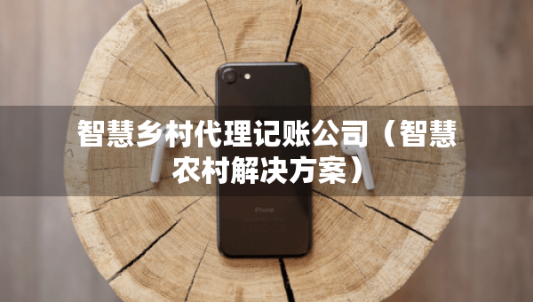 智慧鄉(xiāng)村代理記賬公司（智慧農(nóng)村解決方案）
