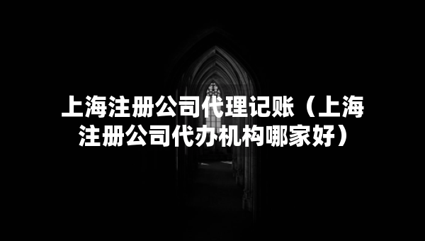 上海注冊公司代理記賬（上海注冊公司代辦機(jī)構(gòu)哪家好）