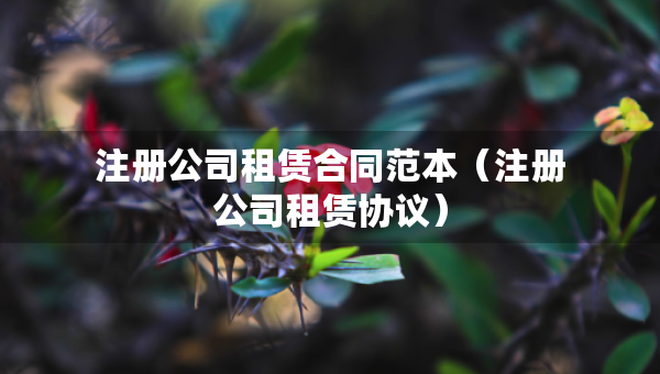 注冊公司租賃合同范本（注冊公司租賃協(xié)議）