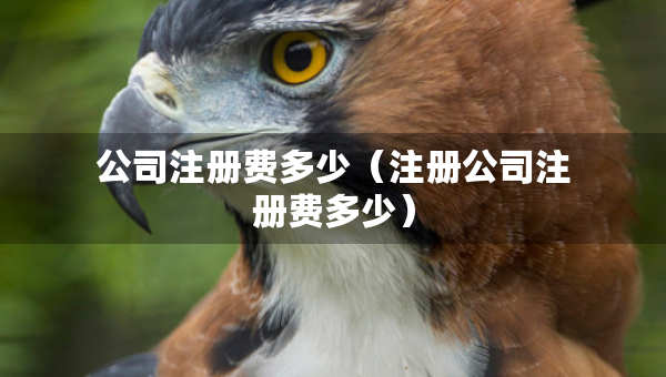 公司注冊(cè)費(fèi)多少（注冊(cè)公司注冊(cè)費(fèi)多少）