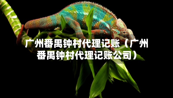 廣州番禺鐘村代理記賬（廣州番禺鐘村代理記賬公司）