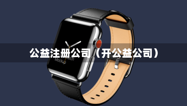 公益注冊公司（開公益公司）