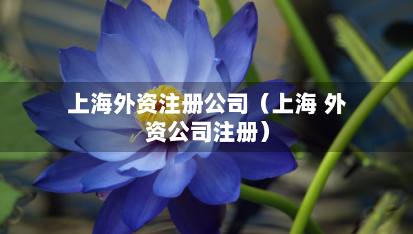上海外資注冊公司（上海 外資公司注冊）
