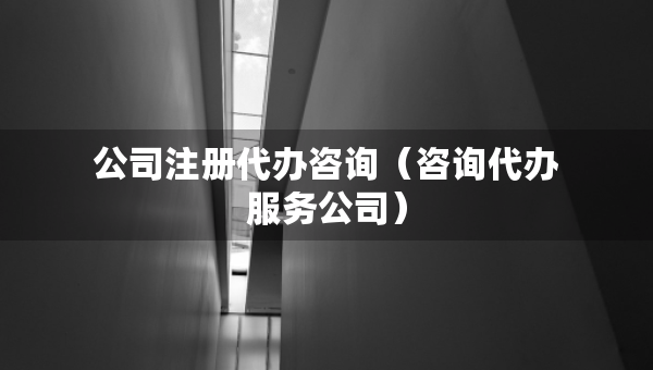 公司注冊代辦咨詢（咨詢代辦服務(wù)公司）