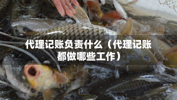 代理記賬負(fù)責(zé)什么（代理記賬都做哪些工作）