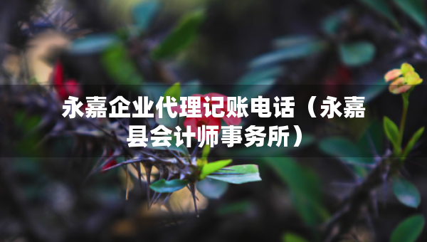 永嘉企業(yè)代理記賬電話（永嘉縣會(huì)計(jì)師事務(wù)所）