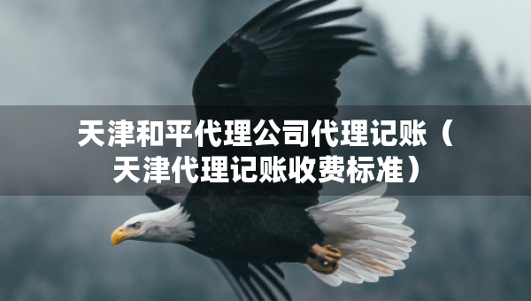 天津和平代理公司代理記賬（天津代理記賬收費(fèi)標(biāo)準(zhǔn)）