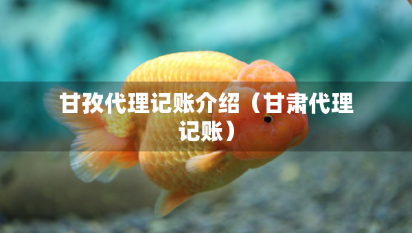 甘孜代理記賬介紹（甘肅代理記賬）