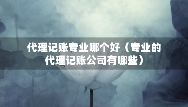 代理記賬專業(yè)哪個好（專業(yè)的代理記賬公司有哪些）
