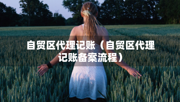 自貿(mào)區(qū)代理記賬（自貿(mào)區(qū)代理記賬備案流程）