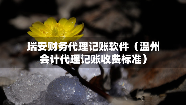 瑞安財(cái)務(wù)代理記賬軟件（溫州會(huì)計(jì)代理記賬收費(fèi)標(biāo)準(zhǔn)）