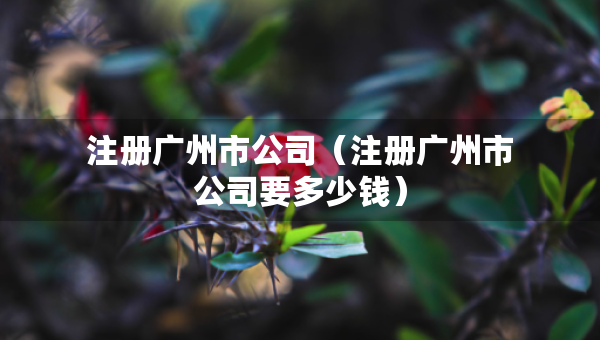 注冊廣州市公司（注冊廣州市公司要多少錢）