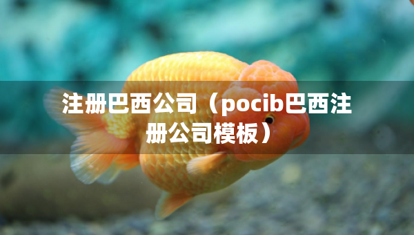注冊巴西公司（pocib巴西注冊公司模板）