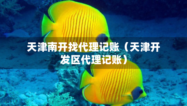 天津南開找代理記賬（天津開發(fā)區(qū)代理記賬）