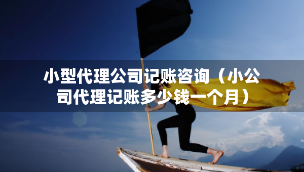 小型代理公司記賬咨詢（小公司代理記賬多少錢一個月）