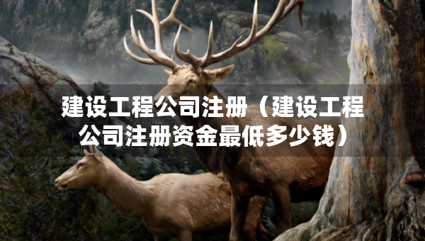 建設(shè)工程公司注冊（建設(shè)工程公司注冊資金最低多少錢）